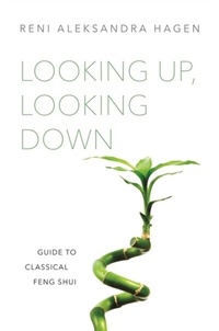 Abbildung von: Looking Up, Looking Down - Singing Dragon