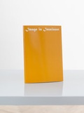 Cover: Image is Immanent - Lodret Vandret