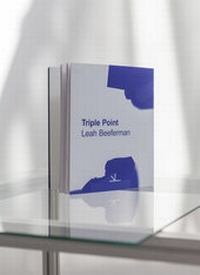 Enlarge image Cover: Triple Point - Lodret Vandret