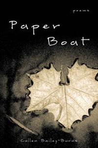 Enlarge image Cover: Paper Boat - New Rivers Press