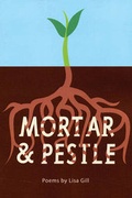 Cover: Mortar & Pestle - New Rivers Press