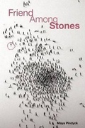 Cover: Friend Among Stones - New Rivers Press