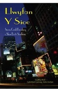 Cover: Llwyfan y Sioe - Sioeau Cerdd Broadway o Show Boat i Sondheim - Cwmni Cyhoeddi Gwynn Cyf