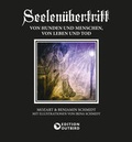 Cover: Seelen&uuml;bertritt - Telivision