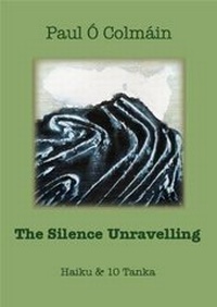 Enlarge image Cover: The Silence Unravelling - Eblana Press