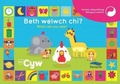 Cover: Beth Welwch Chi? What Can You See? Cyw - Canolfan Peniarth