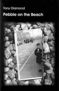 Cover: Pebble on the Beach - QueenSpark Books