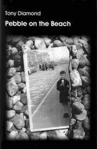 Enlarge image Cover: Pebble on the Beach - QueenSpark Books
