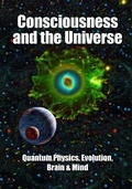 Cover: Consciousness and the Universe - Science Publishers