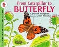 Cover: From Caterpillar to Butterfly - HarperCollins