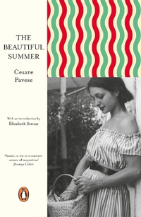Abbildung von: The Beautiful Summer - Penguin Books Ltd