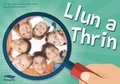 Cover: Llun a Thrin - Canolfan Peniarth