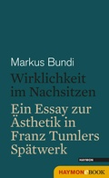 Cover: Wirklichkeit im Nachsitzen - Haymon Verlag