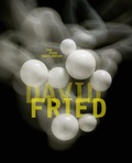 Cover: David Fried - Kerber Verlag