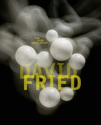 Enlarge image Cover: David Fried - Kerber Verlag