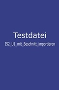 Cover: Das gro&szlig;e Test-Buch - Ullstein