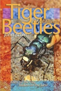 Cover: Tiger Beetles of Alberta - University of Alberta Press