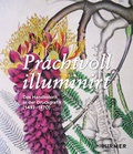 Cover: Prachtvoll illuminirt - Hirmer