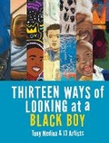 Cover: Thirteen Ways of Looking at a Black Boy - Penny Candy Books