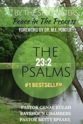 Cover: By the Still Waters - Scatterbrained Genius Enterprises