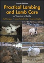 Cover: Practical Lambing and Lamb Care - Wiley