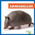 Cover: Armadillos - Pogo Books