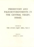 Cover: Prehistory and Paleoenvironments in the Central Negev, Israel, Volume III - SMU Press