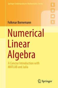 Abbildung von: Numerical Linear Algebra - Springer