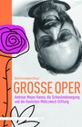 Cover: Große Oper - Männerschwarm, Salzgeber Buchverlage GmbH