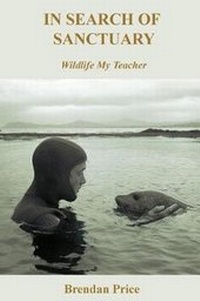 Enlarge image Cover: In Search of Sanctuary - Malcolm Coxall