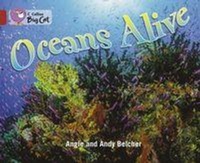 Enlarge image Cover: Oceans Alive - Collins