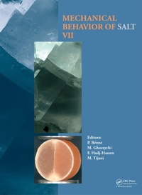 Abbildung von: Mechanical Behaviour of Salt VII - CRC Press