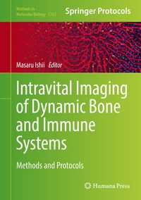 Abbildung von: Intravital Imaging of Dynamic Bone and Immune Systems - Humana