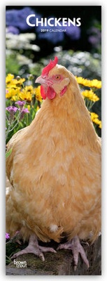 Abbildung von: Chickens - Hühner 2019 - Stürtz