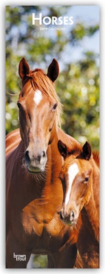 Abbildung von: Horses - Pferde 2019 - Stürtz