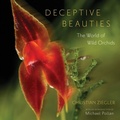 Cover: Deceptive Beauties - University of Chicago Press