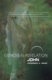 Abbildung von: Genesis to Revelation: John Participant Book - Abingdon Press