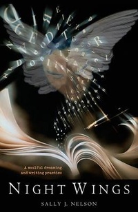 Abbildung von: Night Wings - Hays (Nicolas) Ltd ,U.S.
