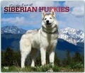 Cover: Siberian Huskies - For the love of - Sibirische Huskies 2019 - 16-Monatskalender mit freier DogDays-App - Brown Trout-Auslieferer Flechsig