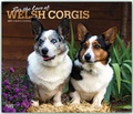 Cover: Welsh Corgis - For the love of 2019 - 16-Monatskalender mit freier DogDays-App - Brown Trout-Auslieferer Flechsig