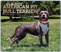 Cover: American Pit Bull Terriers - For the love of 2019 - 16-Monatskalender mit freier DogDays-App - Brown Trout-Auslieferer Flechsig