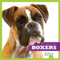 Cover: Boxers - Bullfrog Books