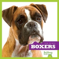 Enlarge image Cover: Boxers - Bullfrog Books