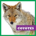 Cover: Coyotes - Pogo Books