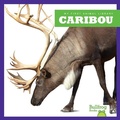 Cover: Caribou - Pogo Books