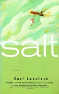 Cover: Salt - Persea Books Inc
