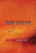 Cover: Road Scatter - Persea Books Inc