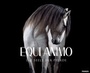Cover: EQUI Animo - Die Seele der Pferde - FRANZIS GmbH