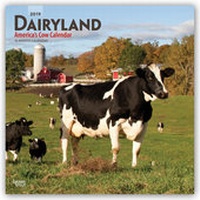 Abbildung von: Dairyland - America's Cow Calendar - Molkereiland - Amerikas Kuh-Kalender 2019 - 16-Monatskalender - Brown Trout-Auslieferer Flechsig