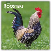Abbildung von: Roosters - Hähne 2019 - 16-Monatskalender - Browntrout Publishers